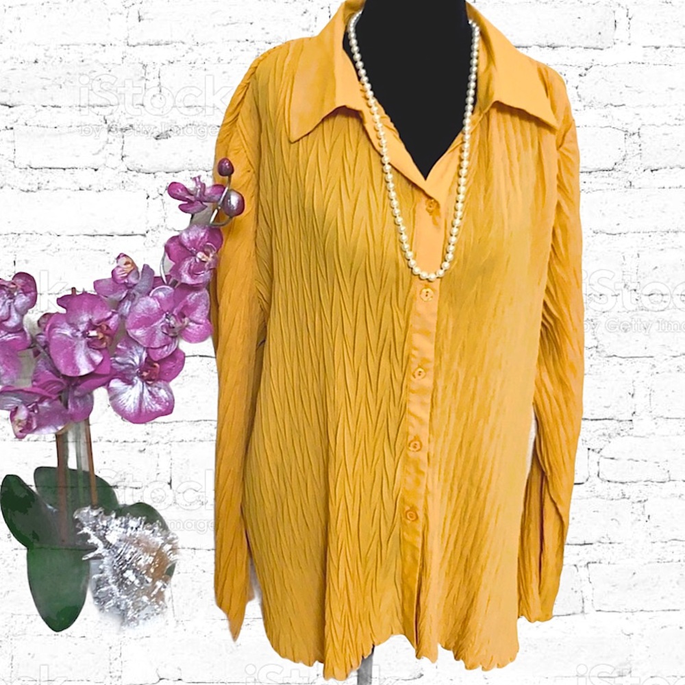NWT DRESSY CUTE  shirt